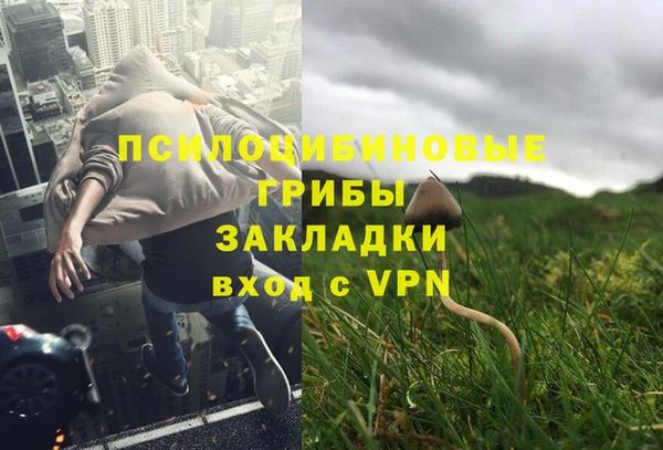 бошки Алексеевка