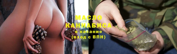 молекула духа Вяземский