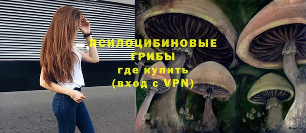 индика Абинск