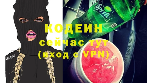 индика Абинск