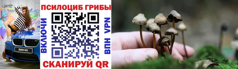 Псилоцибиновые грибы MAGIC MUSHROOMS  МЕГА рабочий сайт  Почеп  наркота 